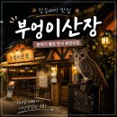 부엉이 - 제주시 신광로 73 | 장승배기 맛집 추천｜분위기 좋은 한식 퓨전주점 '부엉이산장' 솔직 후기