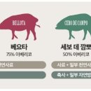 부부뒷고기 티스토리