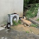 성림자동차 | 영천 성림자동차운전면허학원 후기