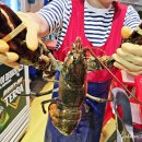 포차갈매기 | 부산 해운대 포차 맛집 갈매기 3호 랍스타포차 솔직 찐후기