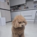 보람의집 이미지