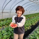 길자농장 이미지