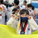 번개태권도 이미지