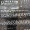 봉은사감로도 이미지