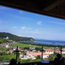 남해-310 이미지