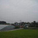 고대1리 이미지