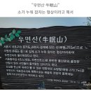 {평일공지}9월10일 (화) 우면산소망탑&예술의전당(물향기님리딩) 이미지