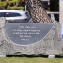 산외면행정복지센터 쿠키뉴스