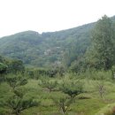 상곡농장 이미지