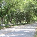 향가약수터 이미지