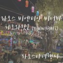 라오스 비엔티안 비어바 방문 후기! 여행시 꼭 가야하는 곳