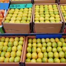 제주민속오일장 이미지