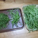 엄마네농장 이미지