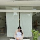 모든 오피스 태안서산점 | 임신 33주차 | 태안 서산 태교여행 | 선창횟집, 안나앤틱, 호텔캐시미르, 해식동굴, 만리포해수욕장...