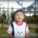 동영목장 이미지