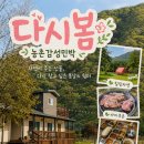 소양민박