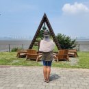 배곧한울공원 이미지