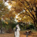 삼진세탁 이미지