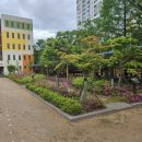 백신초등학교 이미지