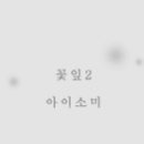 아이소미