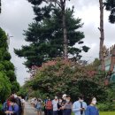 인천광역시중구영종보건지소 이미지