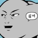 참치애난 이미지