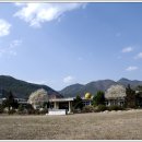 안태초등학교 이미지