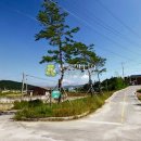 바래봉길 이미지