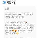 댕요일 이미지