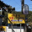 [ 태안 ] 곰섬 킹콩 솔숲 캠핑장 이용 후기 / 태안캠핑장 / 대성식관