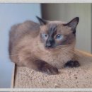 몽글몽글 이미지