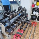 신은철복싱월드 이미지