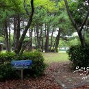 도립서귀포관악단 71회 정기연주회 이미지