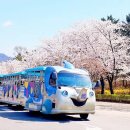 코끼리열차 네이버블로그