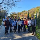 제192차 번개산행(과천 서울대공원 둘레길, 241026) 이미지