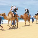 (주)이색 투어 이미지