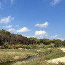 이디야커피평화 - 목포시 미항로 131 | 국립경주박물관 시간 주차 에밀레종 이디야커피 후기