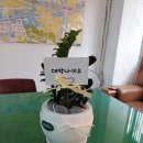 고마운공인중개사사무소 이미지