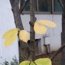 부천테크노파크 이미지