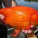 호수환경(주) 이미지