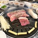 불막열삼(연산토곡점) 이미지