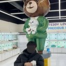 인천강아지분양테디럽