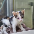 최정욱내과의원 이미지