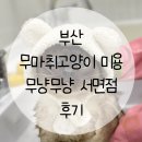 온레스트그루밍 | 부산고양이미용 겨울철 부분미용과 고양이목욕은?