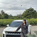 황금돼지PC | 제주도 3월 여행 비행기표 예약 최저가 찾는법