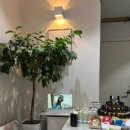 마사지 | [대구 수성] 한화약손테라피 전신마사지 후기