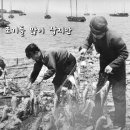 거제시 민요 「조기잡이 그물질 소리」 어로작업 과정에서 부르던 노동요 이미지