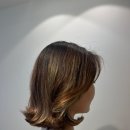헤어 세이지(Hair sage)