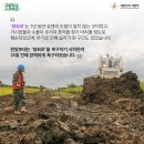 한빛 행정사 이미지