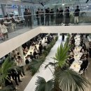 11545-10-26-34 | 식물관 PH wedding - 결혼당사자 신부의 생생후기 (26년 상반기/보증인원 280명)